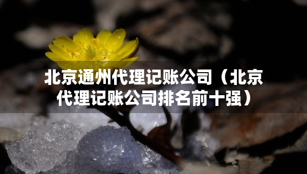 北京通州代理記賬公司（北京代理記賬公司排名前十強(qiáng)）