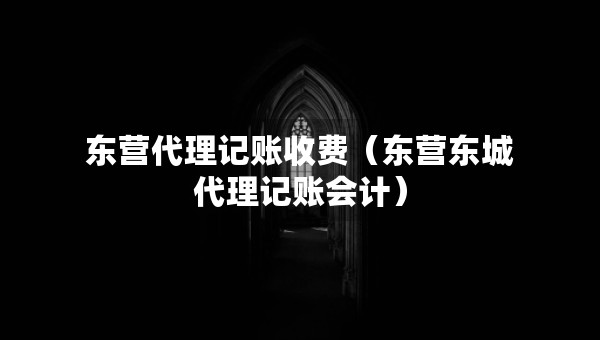 東營代理記賬收費（東營東城代理記賬會計）