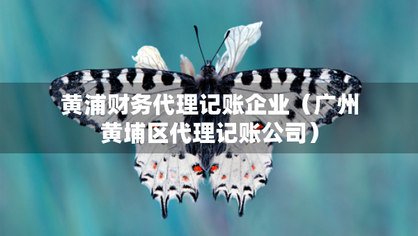 黃浦財(cái)務(wù)代理記賬企業(yè)（廣州黃埔區(qū)代理記賬公司）