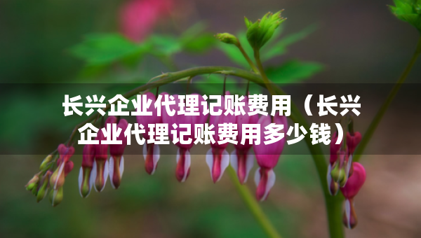 長(zhǎng)興企業(yè)代理記賬費(fèi)用（長(zhǎng)興企業(yè)代理記賬費(fèi)用多少錢）