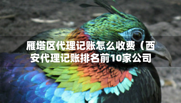 雁塔區(qū)代理記賬怎么收費（西安代理記賬排名前10家公司）