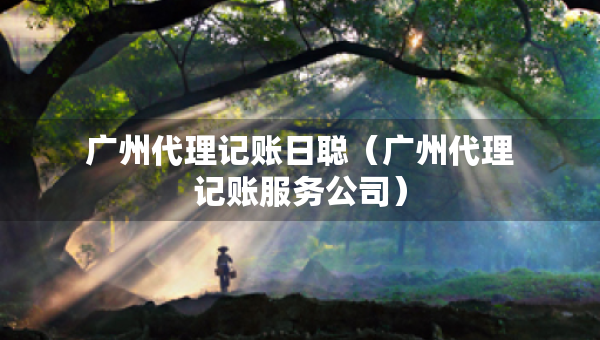 廣州代理記賬日聰（廣州代理記賬服務(wù)公司）