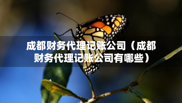 成都財(cái)務(wù)代理記賬公司（成都財(cái)務(wù)代理記賬公司有哪些）