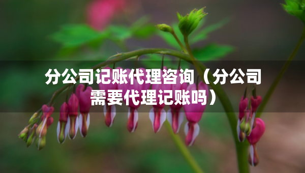 分公司記賬代理咨詢（分公司需要代理記賬嗎）