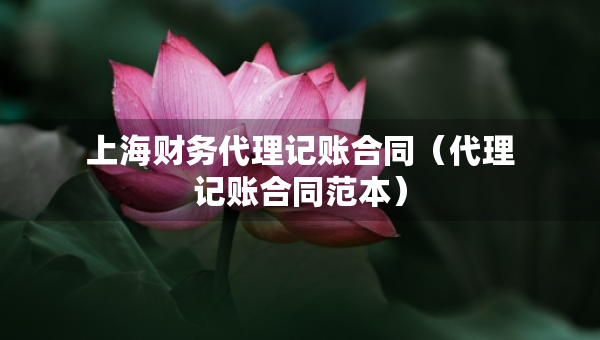 上海財務(wù)代理記賬合同（代理記賬合同范本）