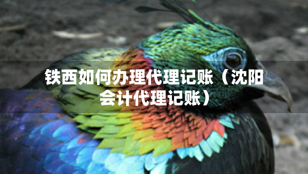 鐵西如何辦理代理記賬（沈陽會計代理記賬）