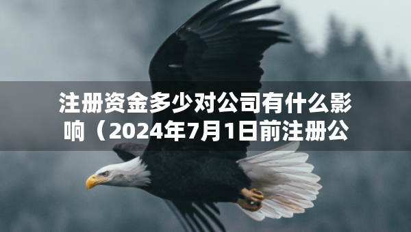 注冊(cè)資金多少對(duì)公司有什么影響（2024年7月1日前注冊(cè)公司要實(shí)繳嗎）