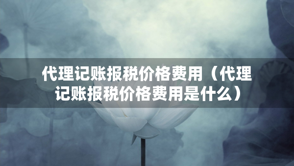 代理記賬報(bào)稅價(jià)格費(fèi)用（代理記賬報(bào)稅價(jià)格費(fèi)用是什么）