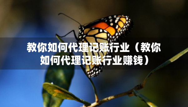 教你如何代理記賬行業(yè)（教你如何代理記賬行業(yè)賺錢）