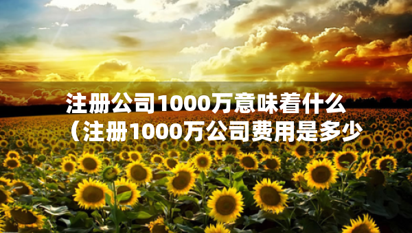 注冊公司1000萬意味著什么（注冊1000萬公司費用是多少）