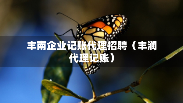 豐南企業(yè)記賬代理招聘（豐潤(rùn)代理記賬）