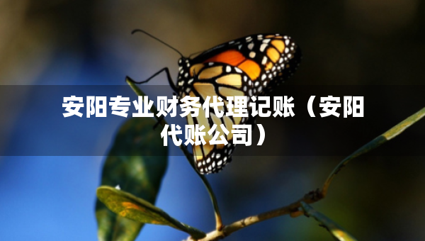 安陽專業(yè)財(cái)務(wù)代理記賬（安陽代賬公司）