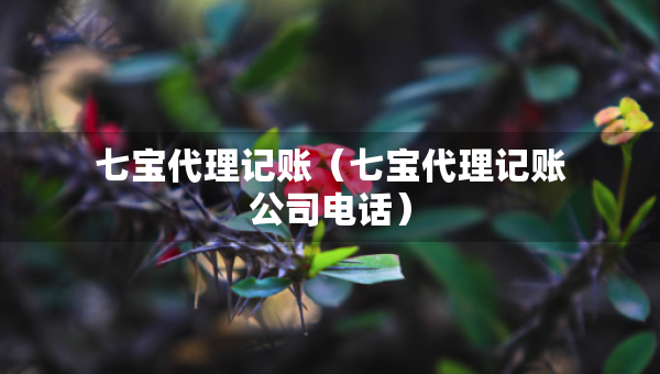 七寶代理記賬（七寶代理記賬公司電話）