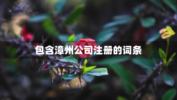 包含漳州公司注冊(cè)的詞條