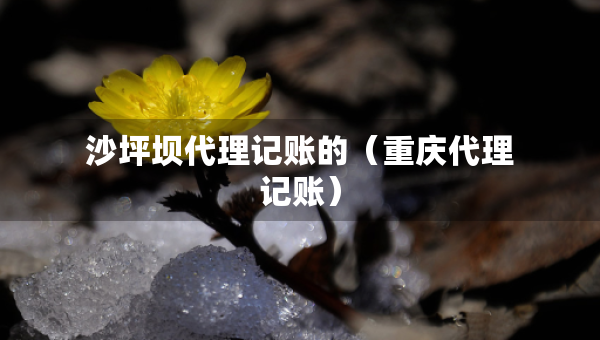 沙坪壩代理記賬的（重慶代理記賬）