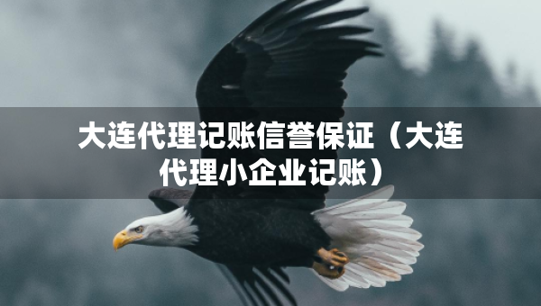 大連代理記賬信譽(yù)保證（大連代理小企業(yè)記賬）