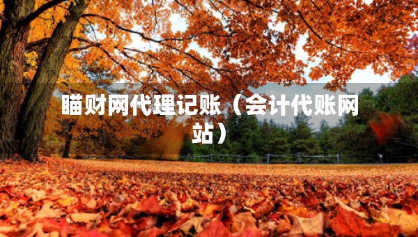 瞄財網(wǎng)代理記賬（會計代賬網(wǎng)站）