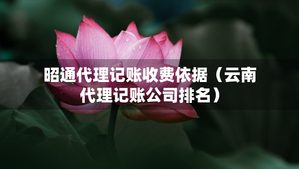 昭通代理記賬收費依據(jù)（云南代理記賬公司排名）