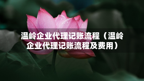 溫嶺企業(yè)代理記賬流程（溫嶺企業(yè)代理記賬流程及費(fèi)用）