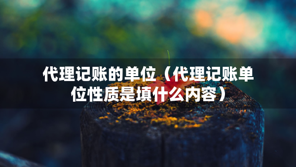 代理記賬的單位（代理記賬單位性質(zhì)是填什么內(nèi)容）