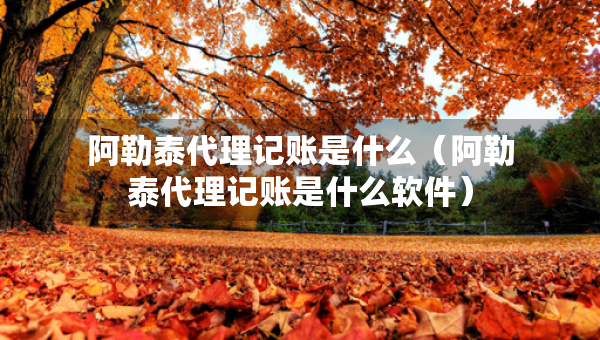 阿勒泰代理記賬是什么（阿勒泰代理記賬是什么軟件）