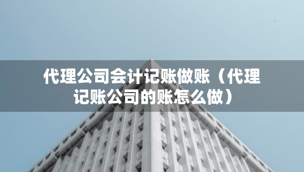 代理公司會計記賬做賬（代理記賬公司的賬怎么做）