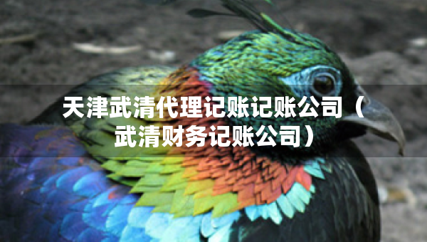 天津武清代理記賬記賬公司（武清財務記賬公司）