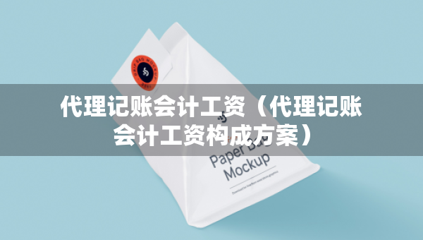 代理記賬會計工資（代理記賬會計工資構(gòu)成方案）