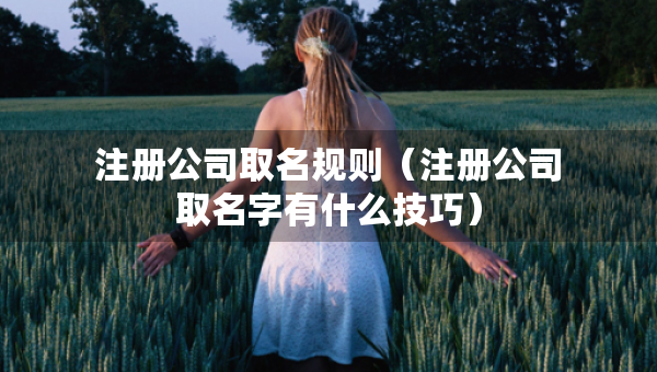 注冊(cè)公司取名規(guī)則（注冊(cè)公司取名字有什么技巧）