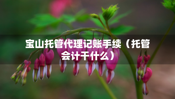 寶山托管代理記賬手續(xù)（托管會(huì)計(jì)干什么）