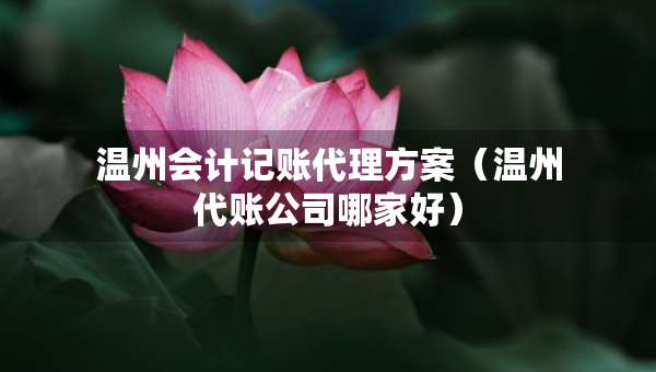 溫州會計記賬代理方案（溫州代賬公司哪家好）