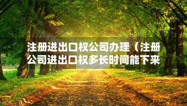 注冊(cè)進(jìn)出口權(quán)公司辦理（注冊(cè)公司進(jìn)出口權(quán)多長(zhǎng)時(shí)間能下來(lái)）