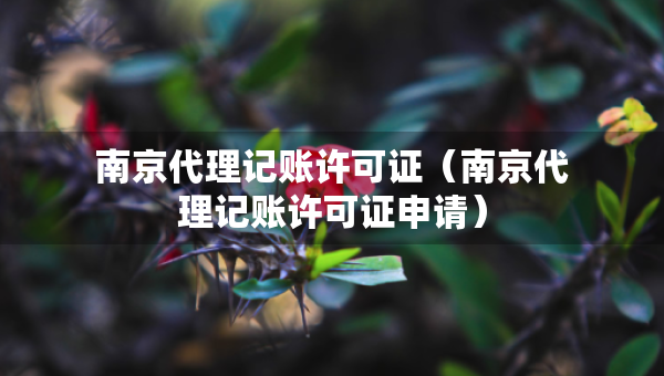 南京代理記賬許可證（南京代理記賬許可證申請）