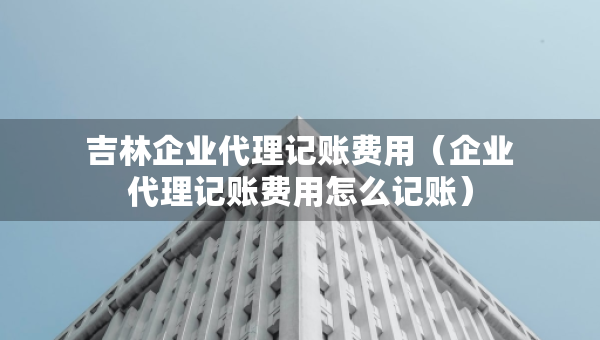 吉林企業(yè)代理記賬費用（企業(yè)代理記賬費用怎么記賬）