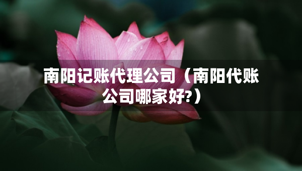 南陽(yáng)記賬代理公司（南陽(yáng)代賬公司哪家好?）