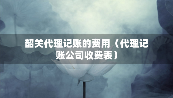 韶關(guān)代理記賬的費用（代理記賬公司收費表）