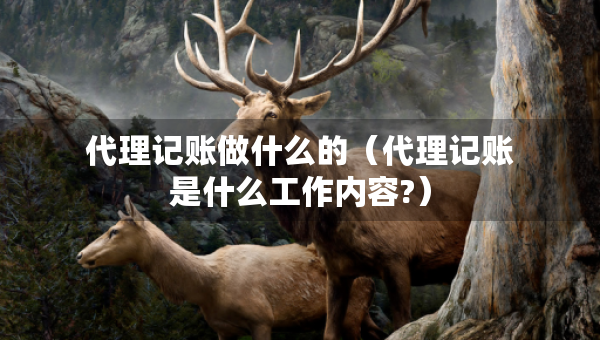 代理記賬做什么的（代理記賬是什么工作內(nèi)容?）