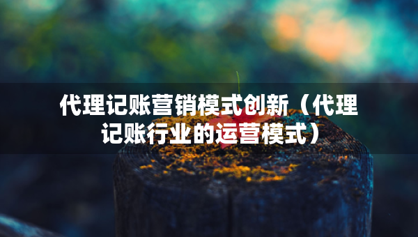 代理記賬營(yíng)銷(xiāo)模式創(chuàng)新（代理記賬行業(yè)的運(yùn)營(yíng)模式）