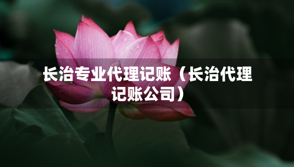 長治專業(yè)代理記賬（長治代理記賬公司）