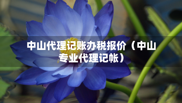 中山代理記賬辦稅報(bào)價(jià)（中山專業(yè)代理記帳）