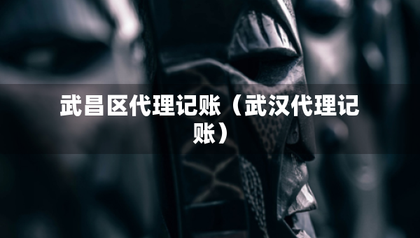 武昌區(qū)代理記賬（武漢代理記賬）