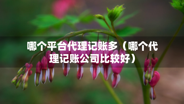 哪個平臺代理記賬多（哪個代理記賬公司比較好）