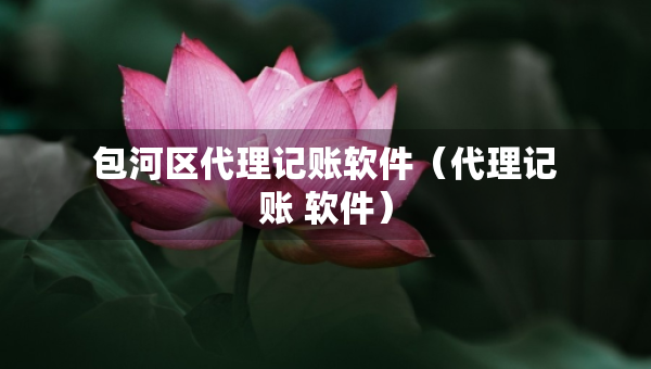 包河區(qū)代理記賬軟件（代理記賬 軟件）