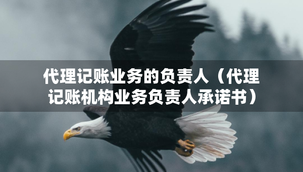 代理記賬業(yè)務(wù)的負(fù)責(zé)人（代理記賬機(jī)構(gòu)業(yè)務(wù)負(fù)責(zé)人承諾書）