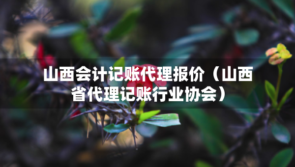 山西會計記賬代理報價（山西省代理記賬行業(yè)協(xié)會）