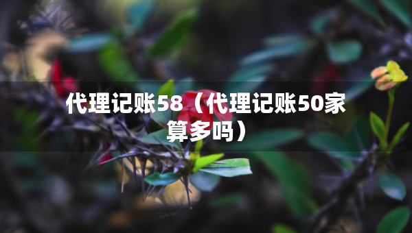 代理記賬58（代理記賬50家算多嗎）