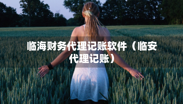 臨海財(cái)務(wù)代理記賬軟件（臨安代理記賬）