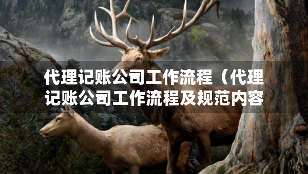 代理記賬公司工作流程（代理記賬公司工作流程及規(guī)范內(nèi)容）