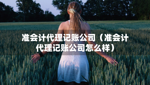 準(zhǔn)會(huì)計(jì)代理記賬公司（準(zhǔn)會(huì)計(jì)代理記賬公司怎么樣）