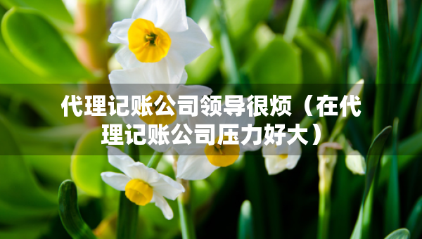 代理記賬公司領(lǐng)導(dǎo)很煩（在代理記賬公司壓力好大）